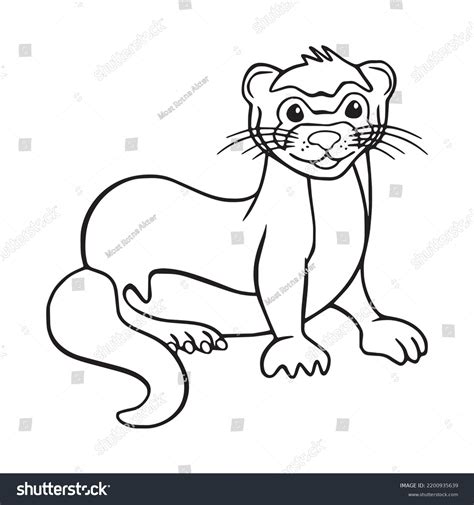 Beautiful Ferret Line Art Imagesferret Outline Stock Vector Royalty Free 2200935639 Shutterstock