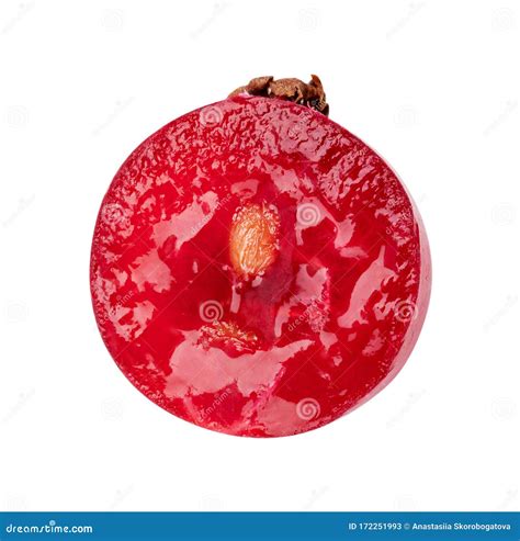 Red Currant Isolated On White Background Stock Image Image Of Green