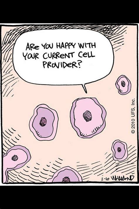 Pin By Sarah Schaefer On Funnies Science Puns Biology Humor Science