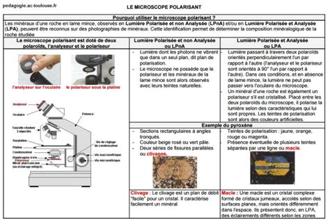 Fiche Microscope Polarisant Svt Vive Les Svt Les Sciences De La Vie