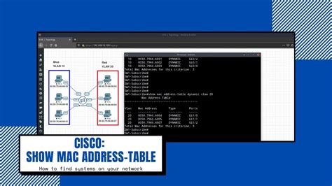 Cisco Mac Address Table Associated Vlan Myownbetta