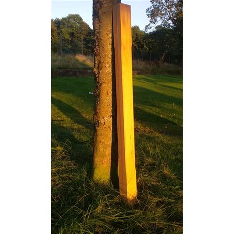 Accoya Engineered Timber Post 139 X139