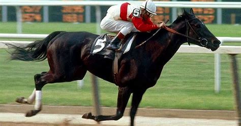 Ruffian suffered fatal injury in match race 40 years ago | FOX Sports