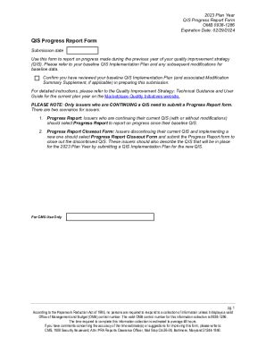 Fillable Online Plan Year Qis Progress Report Form Qis Progress