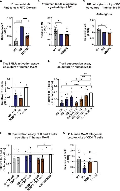 Frontiers Breast Cancer Associated Cd169 Macrophages Possess Broad