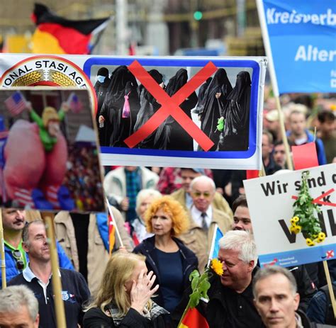 Protestzug in Berlin AfD Demo ein riesengroßes Missverständnis WELT