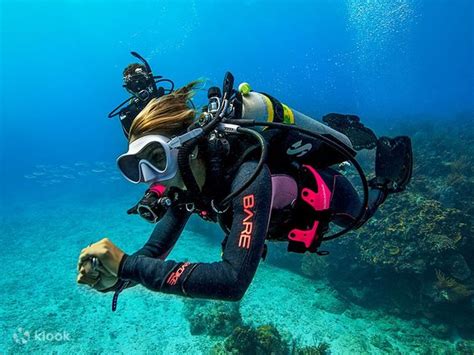 Become A Padi Enriched Air Diver In Mindanao At Our Padi Resort Klook