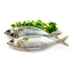 Kumbalawa (Indian mackerel) -1 KG - Meat Mart