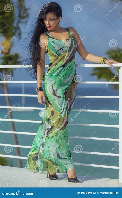Latina Atractiva Con El Pelo Negro Largo Foto De Archivo Imagen De Manera Lujo 100819522