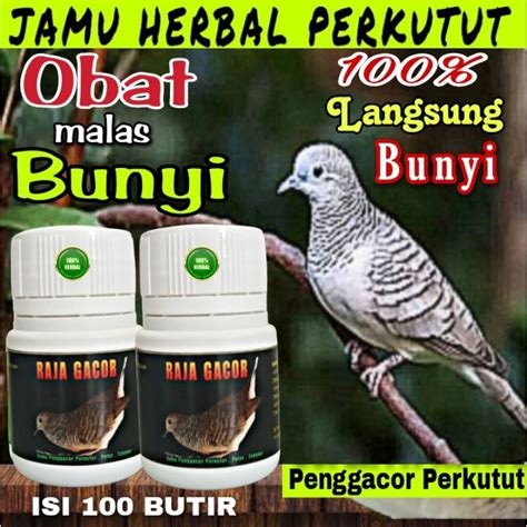 Jual Promo Jamu Perkutut Raja Gacor Premium Isi Butir Pil Apbn