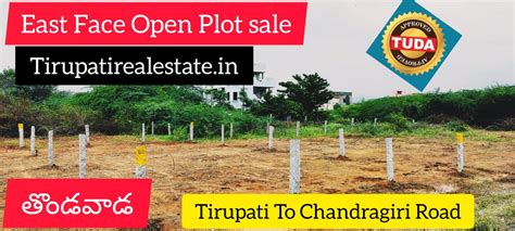 East Face Tuda Approval Open Plot Sale Thondavada Tirupati To