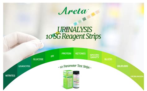 Areta Parameter Sg Urinalysis Reagent Test Strips Strips