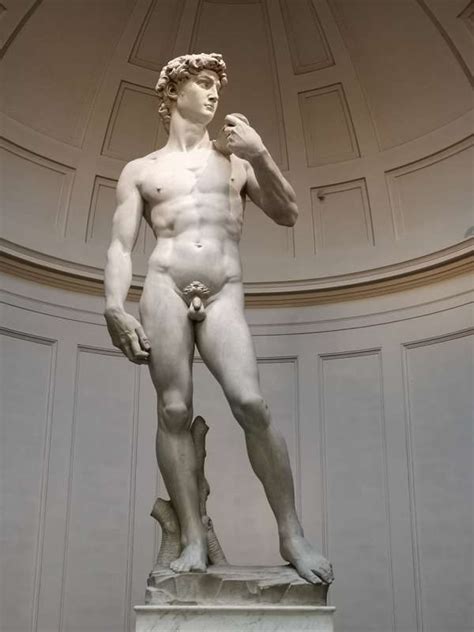 Il David di Michelangelo storia e curiosità del capolavoro del Buonarroti