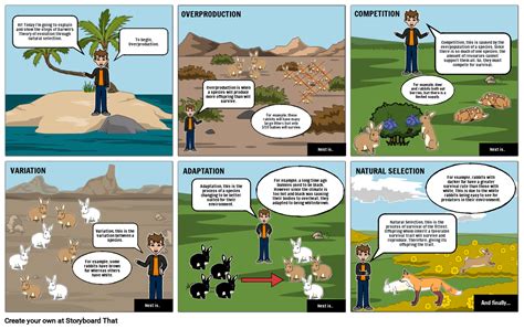 Charles Darwins Theory Of Natural Selection Storyboard