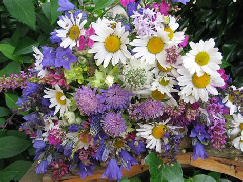 Image De Fleur Faire Un Bouquet De Fleurs Des Champs