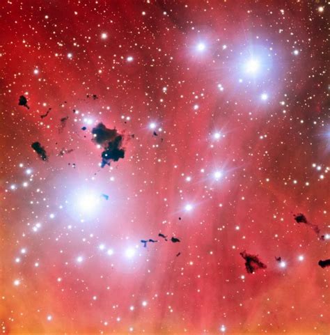 赤い光の海に浮かぶ若い星々と暗黒の雲、 ケンタウルス座”の輝線星雲｜infoseekニュース