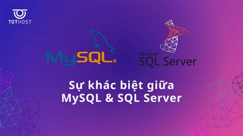 Toàn Bộ Thông Tin Cần Biết Về Mysql Cho Người Mới 2024