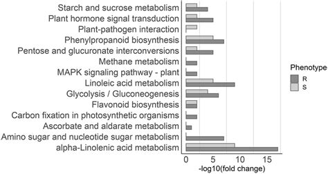 Lignin Biosynthesis Pathway Lignin Biosynthesis Pathway Is