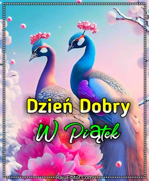 1999 Dzień Dobry W Piątek Obrazy Zdjęcia Nowy Bezpłatny 2024