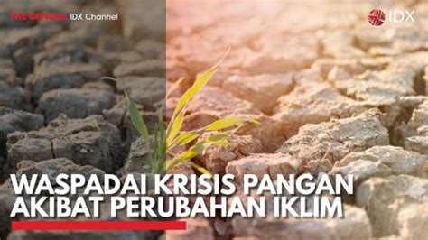 Waspadai Krisis Pangan Akibat Perubahan Iklim