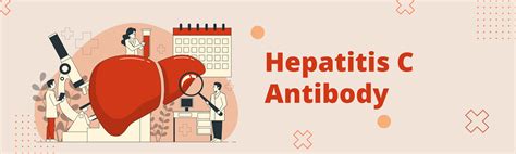 Hepatitis C Antibody – Beacon Health Screening Centre