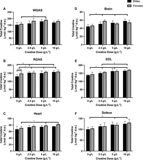 Sex And Tissue Dependent Creatine Uptake In Response To Different