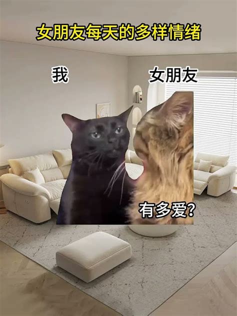 一天八百个情绪情侣日常话题 猫meme话题 情感话题 内容过于真实话题 搞笑的日常话题 情绪话题 男女朋友那点