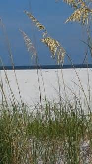 Pensacola Beach Pensacola Beach Beach Pensacola