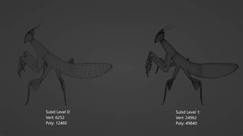 3d Model Low Poly Rigged Orchid Mantis Turbosquid 2118606