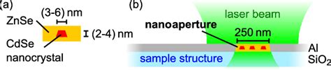 A Sketch Of The Nanophotonic Sample Structure Single Quantum Dots