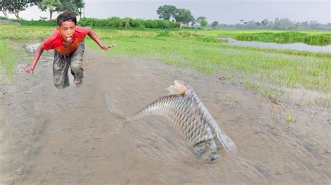 Amazing New Big Fish Catching By Hand Traditional Boy Big Fish Catch