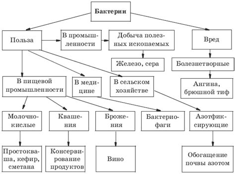ОТВЕТЫ / Тесты по биологии. 7 класс