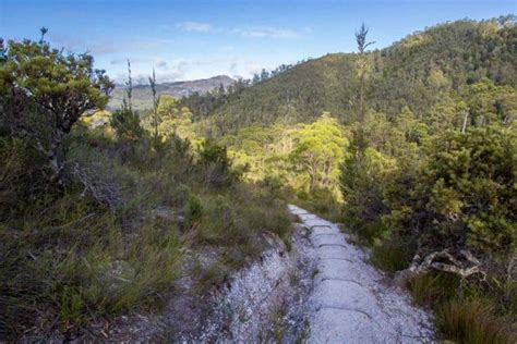 Guide To Hiking Frenchmans Cap In Tasmania Halfway Anywhere