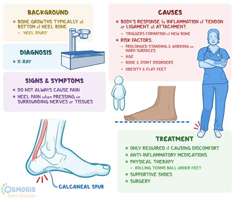 Share more than 72 plantar fasciitis heel spur treatment super hot - buway.vn