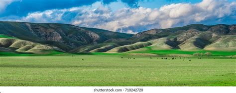 2509 Central California Agriculture Royalty Free Photos And Stock