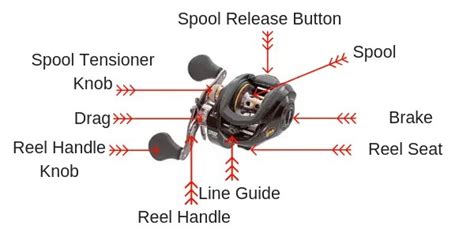 Baitcaster vs Spinning Reel with Pros and Cons [Buying guide]