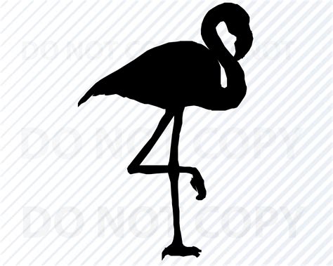 Flamingo Svg Files Flamingo Clip Art Flamingo Silhouette Etsy Australia