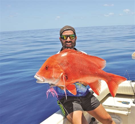 Bring On Red Emperor The Holy Red Fish Bnb Fishing Magazine