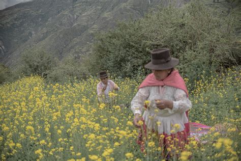 CHIRAPAQ, Centro de Culturas Indígenas del Perú - Transformative Pathways 