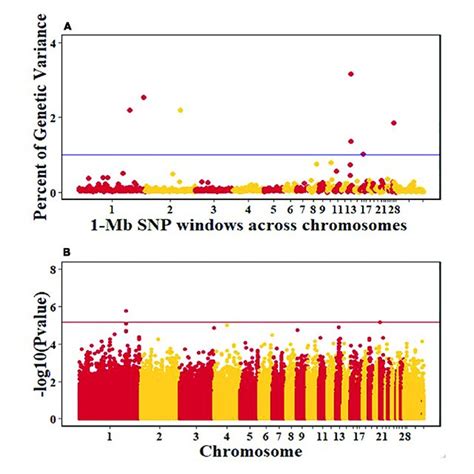 Manhattan Plots Showing The Genome Wide Association Results For