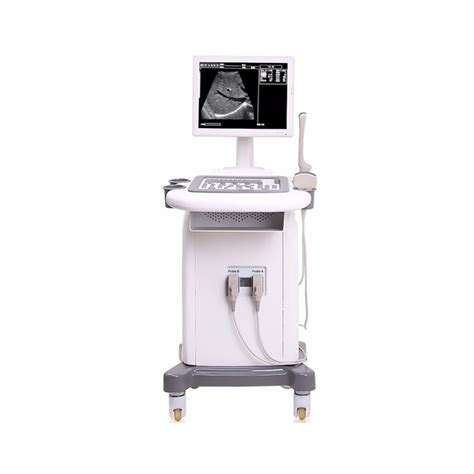 Full Digital Trolley B W Ultrasound System Scanner China Trolley