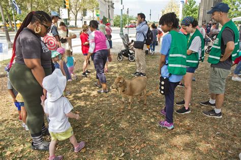 The Traveling Philly Goat Project Brings Joy To All Ages Whyy