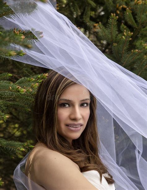 Ragazza Di Latina Con Il Velo Bianco Fotografia Stock Immagine Di Sognatore Nave 151518198