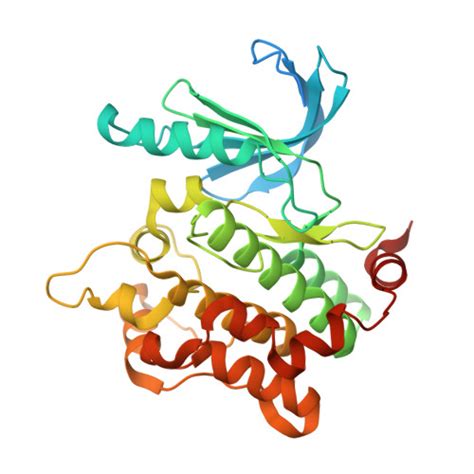 Gene P Protein Map K Overview Cansar Ai