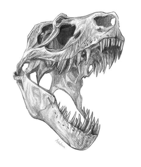 T Rex Skull by e-pona on DeviantArt