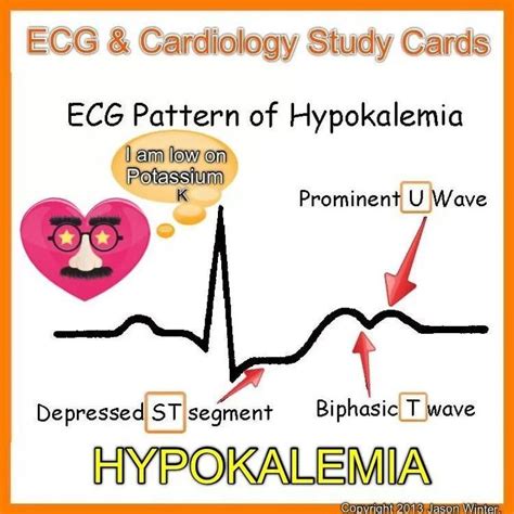 Nursing Case Study Hypokalemia 1 Introduction