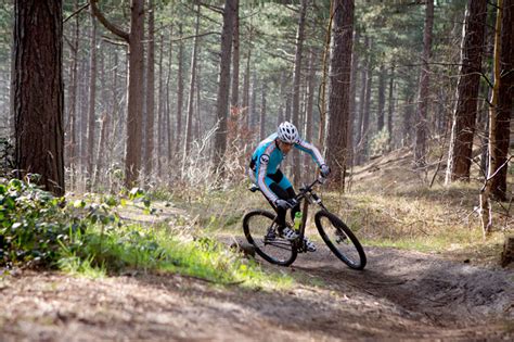 Eindelijk Groen Licht Voor Verlegging Route Schoorlse Duinen Velozine