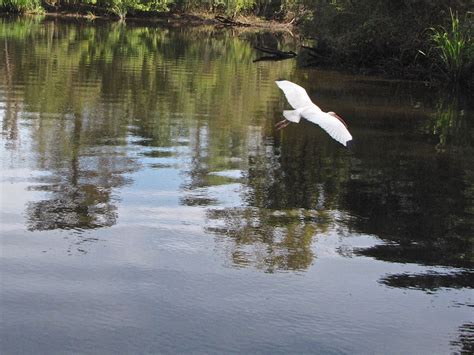 Gary Rhoades Photography