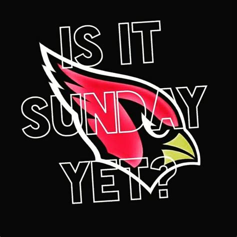 Arizona Cardinals football 2016 @ArizonaLadyBirds | Arizona cardinals ...