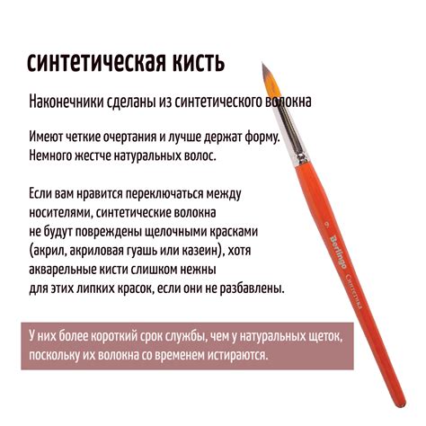 Какие виды и формы кисти для рисования бывают и как их выбрать ...